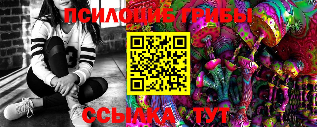 закладки  Вход с VPN  Россия  Галлюциногенные грибы Magic Shrooms 