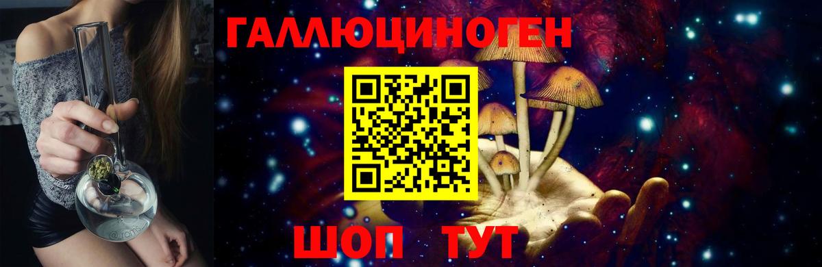 Галлюциногенные грибы Psilocybe Россия